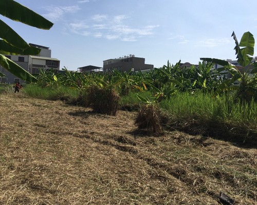 台南割草整地, 台南整地割草