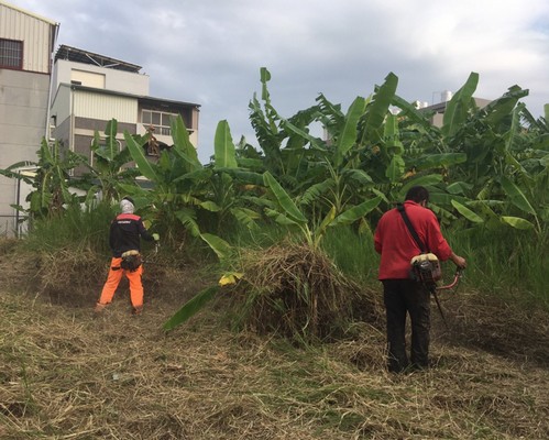 仁德果園維護除草, 仁德割草整地, 仁德除草整地