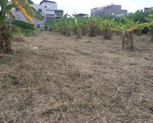 台南仁德果園維護除草, 台南仁德割草整地, 台南仁德除草整地