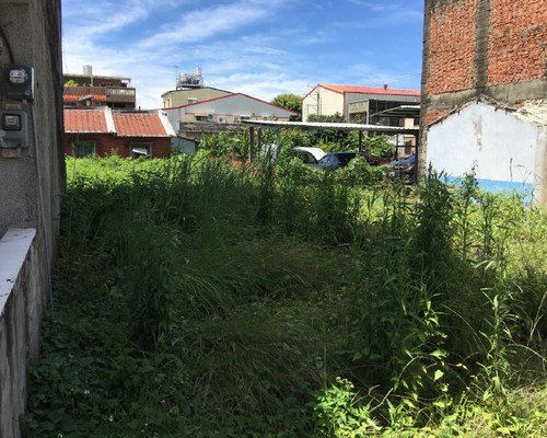 台南建地除草. 台南割草整地, 台南除草整地, 台南代客除草, 
                        台南空地除草價格, 台南除草工, 台南整地除草費用, 台南建地割草, 台南整地除草