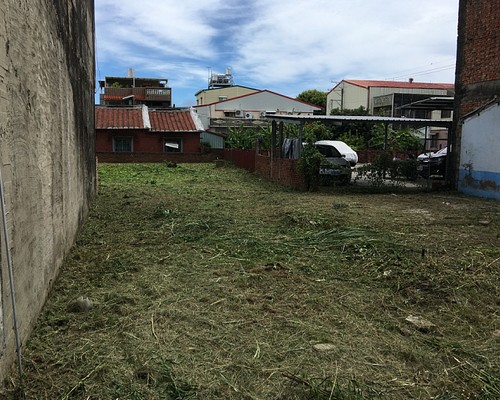 台南新化區建地除草. 台南新化區割草整地, 台南新化區除草整地, 台南新化區代客除草, 
                        台南新化區空地除草價格, 台南新化區除草工, 台南新化區整地除草費用, 台南建地割草, 台南整地除草