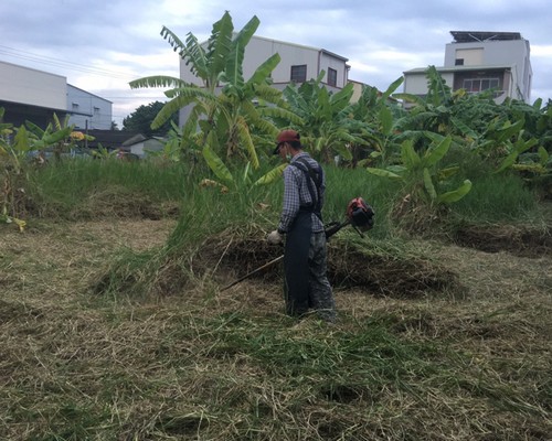 台南仁德果園維護除草, 台南仁德割草整地, 台南仁德除草整地