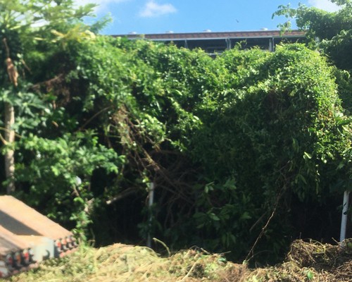 台南建地除草, 台南建地割草, 台南環境清理, 台南除草景觀工程, 台南代客除草, 台南除(割)草作業, 台南割草, 台南除草, 台南割草整地, 
                        台南除草整地, 台南空地除草價格, 台南除草工, 台南整地除草費用, 台南空地割草, 台南整地除草, 台南空地除草