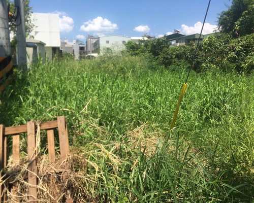 台南建地除草, 台南建地割草, 台南環境清理, 台南除草景觀工程, 台南代客除草, 台南除(割)草作業, 台南割草, 台南除草, 台南割草整地, 
                        台南除草整地, 台南空地除草價格, 台南除草工, 台南整地除草費用, 台南空地割草, 台南整地除草, 台南空地除草