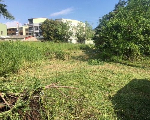 台南建地除草, 台南建地割草, 台南環境清理, 台南除草景觀工程, 台南代客除草, 台南除(割)草作業, 台南割草, 台南除草, 台南割草整地, 
                        台南除草整地, 台南空地除草價格, 台南除草工, 台南整地除草費用, 台南空地割草, 台南整地除草, 台南空地除草