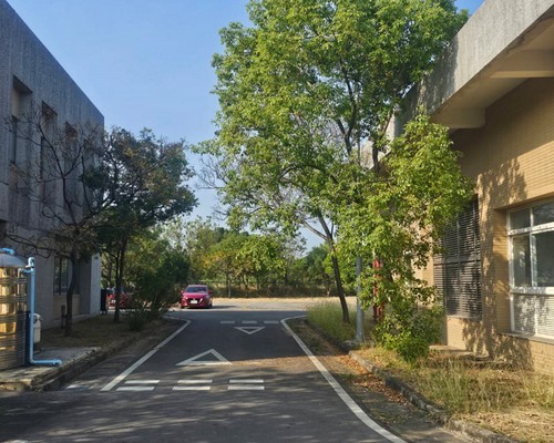 台南樹木修剪, 台南樹木清運, 台南環境清理, 台南除草景觀工程, 台南重劃土地除草, 台南園區空地除草, 
                                    台南除草鋸樹, 台南代客除草, 台南除(割)草作業, 台南割草, 台南除草, 台南割草整地, 台南除草整地, 台南空地除草價格, 台南除草工, 台南整地除草費用, 
                                    台南空地割草, 台南整地除草, 台南空地除草