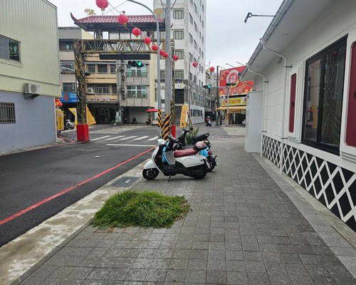 台南園藝景觀維護, 台南園藝造景廠商, 台南庭園維護公司