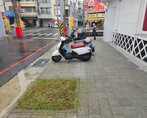 台南北區園藝景觀維護, 台南北區園藝造景廠商, 台南北區庭園維護公司