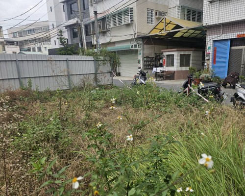 台南建地除草, 台南建地割草, 台南環境清理, 台南除草景觀工程, 台南代客除草, 台南除(割)草作業, 台南割草, 台南除草, 台南割草整地, 
                        台南除草整地, 台南空地除草價格, 台南除草工, 台南整地除草費用, 台南空地割草, 台南整地除草, 台南空地除草