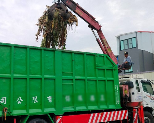 台南雜草雜樹清除, 台南環保廢棄物清運, 台南除草, 台南割草, 台南庭園除草
