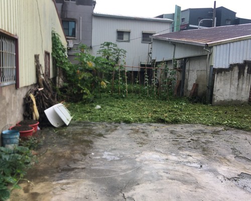 台南關廟建地除草, 台南關廟建地割草, 台南關廟環境清理, 台南關廟除草景觀工程, 台南關廟代客除草, 台南關廟除(割)草作業, 台南關廟割草, 台南關廟除草, 台南關廟割草整地, 
                        台南關廟除草整地, 台南關廟空地除草價格, 台南關廟除草工, 台南關廟整地除草費用, 台南關廟空地割草, 台南關廟整地除草, 台南關廟空地除草