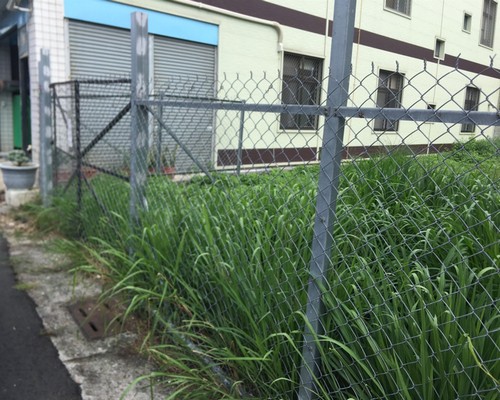 台南善化建地除草, 台南善化建地割草, 台南善化環境清理, 台南除草景觀工程, 台南善化代客除草, 台南善化除(割)草作業, 台南善化割草, 台南善化除草, 台南善化割草整地, 
                        台南善化除草整地, 台南善化空地除草價格, 台南善化除草工, 台南善化整地除草費用, 台南善化空地割草, 台南善化整地除草, 台南善化空地除草