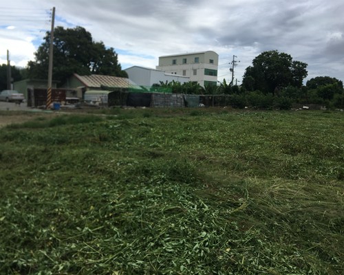 台南佳里建地除草, 台南佳里建地割草, 台南佳里環境清理, 台南佳里除草景觀工程, 台南佳里代客除草, 台南佳里除(割)草作業, 台南佳里割草, 台南佳里除草, 台南佳里割草整地, 
                        台南佳里除草整地, 台南佳里空地除草價格, 台南佳里除草工, 台南佳里整地除草費用, 台南佳里空地割草, 台南佳里整地除草, 台南佳里空地除草