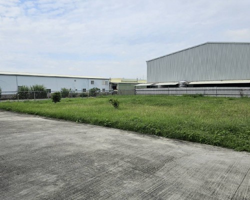 台南新營除草, 台南新營鋸樹, 台南新營環境整理, 台南新營庭園整修