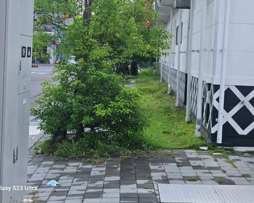 台南人工除草, 台南除草清運, 台南餐廳除草環境整理, 台南庭院樹木整理, 台南樹木修剪, 台南景觀園藝, 
                                    台南庭園維護, 台南園藝整修, 台南園藝整理, 台南花園除草修剪整理, 台南庭園景觀維護保養, 台南割草除草修剪整理