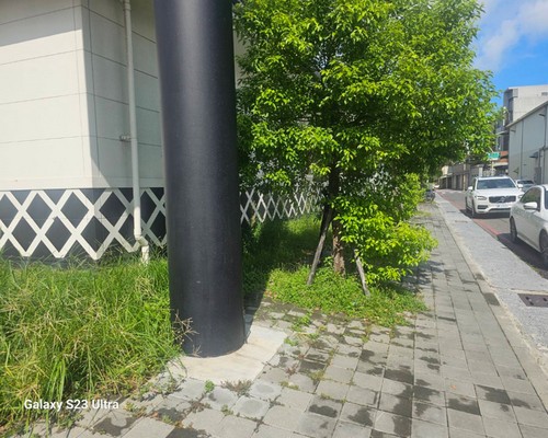 台南人工除草, 台南除草清運, 台南餐廳除草環境整理, 台南庭院樹木整理, 台南樹木修剪, 台南景觀園藝, 
                                    台南庭園維護, 台南園藝整修, 台南園藝整理, 台南花園除草修剪整理, 台南庭園景觀維護保養, 台南割草除草修剪整理