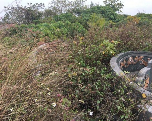 台南墓園除草, 台南墓地整理, 台南墓地除草