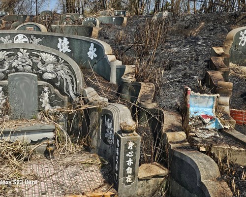 台南墓地除草, 台南墓地鋸樹, 台南墓地環境整理, 台南割草, 台南除草, 台南割草整地, 台南除草整地, 台南代客除草, 台南空地除草價格, 台南除草工, 
                            台南整地除草費用, 台南墓園整理, 台南整地除草, 台南空地除草