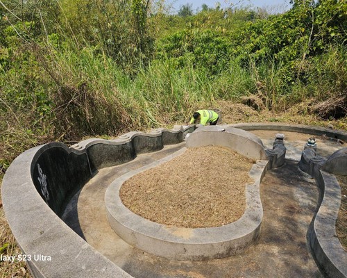 台南北門割草, 台南北門除草, 台南北門空地除草, 台南北門代客除草, 台南北門除(割)草作業