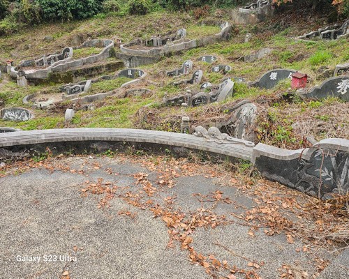 台南墓地除草, 台南墓園定期除草, 台南墓園除草, 台南割草, 台南除草, 台南割草整地, 台南除草整地, 台南代客除草, 台南空地除草價格, 台南除草工, 台南整地除草費用, 
        台南建地割草, 台南整地除草, 台南建地除草