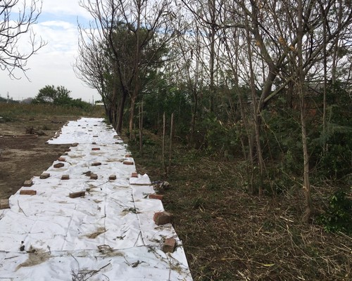 台南將軍區土地鑑界除草, 台南將軍區鑑界除草, 台南將軍區環境清理, 台南將軍區重劃土地除草, 台南將軍區園區空地除草, 台南將軍區除草鋸樹, 台南將軍區道路除草, 
    	台南將軍區代客除草, 台南將軍區除(割)草作業, 台南將軍區割草, 台南將軍區除草, 台南將軍區割草整地, 台南將軍區除草整地, 台南將軍區空地除草價格, 台南將軍區除草工, 台南將軍區整地除草費用, 台南將軍區空地割草, 台南將軍區整地除草