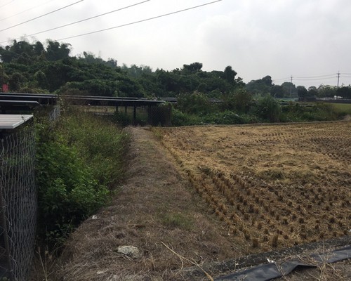 台南太陽能埸除草, 台南太陽能埸鋸樹, 台南環境整理, 台南鋸樹, 台南除草鋸樹, 
                    台南代客除草, 台南除(割)草作業, 台南割草, 台南除草, 台南割草整地, 台南除草整地, 台南除草工, 台南整地除草費用, 台南空地割草, 台南整地除草, 
                    台南空地除草