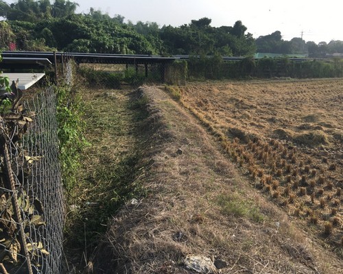 台南太陽能埸除草, 台南太陽能埸鋸樹, 台南環境整理, 台南鋸樹, 台南除草鋸樹, 
                    台南代客除草, 台南除(割)草作業, 台南割草, 台南除草, 台南割草整地, 台南除草整地, 台南除草工, 台南整地除草費用, 台南空地割草, 台南整地除草, 
                    台南空地除草