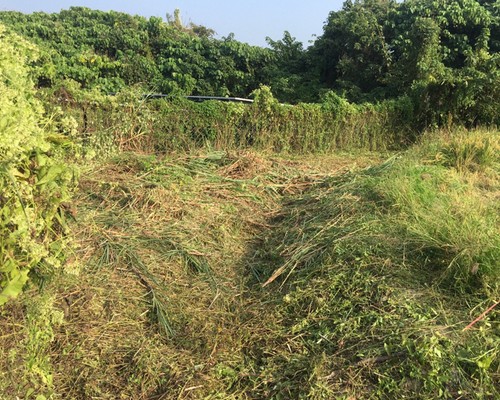 台南太陽能埸除草, 台南太陽能埸鋸樹, 台南環境整理, 台南鋸樹, 台南除草鋸樹, 
                    台南代客除草, 台南除(割)草作業, 台南割草, 台南除草, 台南割草整地, 台南除草整地, 台南除草工, 台南整地除草費用, 台南空地割草, 台南整地除草, 
                    台南空地除草