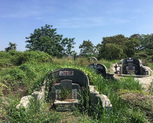 台南墓地除草, 台南墓地鋸樹, 台南環境整理, 台南鋸樹, 台南除草鋸樹, 
                    台南代客除草, 台南除(割)草作業, 台南割草, 台南除草, 台南割草整地, 台南除草整地, 台南除草工, 台南整地除草費用, 台南空地割草, 台南整地除草, 
                    台南空地除草