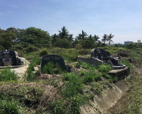 台南墓地除草, 台南墓地鋸樹, 台南環境整理, 台南鋸樹, 台南除草鋸樹, 
                    台南代客除草, 台南除(割)草作業, 台南割草, 台南除草, 台南割草整地, 台南除草整地, 台南除草工, 台南整地除草費用, 台南空地割草, 台南整地除草, 
                    台南空地除草