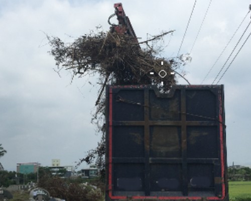 台南新市墓地除草, 台南新市墓地鋸樹, 台南新市環境整理, 台南新市鋸樹, 台南新市除草鋸樹, 
                    台南新市代客除草, 台南新市除(割)草作業, 台南新市割草, 台南新市除草, 台南新市割草整地, 台南新市除草整地, 台南新市除草工, 台南新市整地除草費用, 台南新市空地割草, 台南新市整地除草, 
                    台南新市空地除草