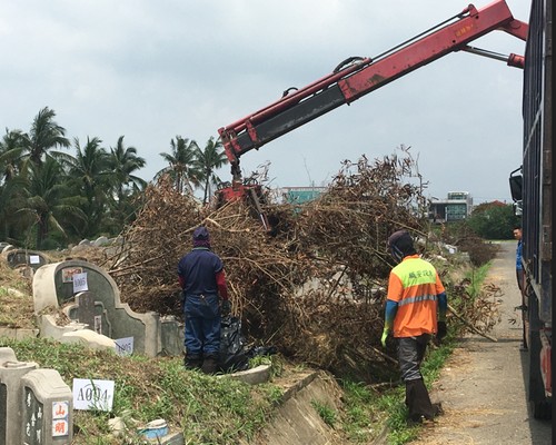 台南墓地除草, 台南墓地鋸樹, 台南環境整理, 台南鋸樹, 台南除草鋸樹, 
                    台南代客除草, 台南除(割)草作業, 台南割草, 台南除草, 台南割草整地, 台南除草整地, 台南除草工, 台南整地除草費用, 台南空地割草, 台南整地除草, 
                    台南空地除草