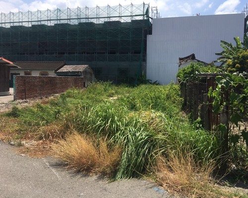 台南割草, 台南除草, 台南空地除草, 台南代客除草, 台南除(割)草作業