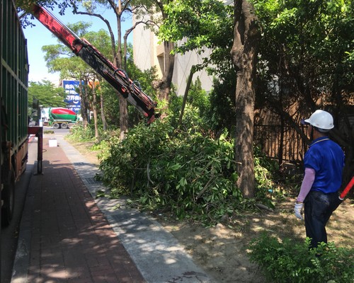 台南鋸樹清運, 台南環境整理, 台南鋸樹, 台南除草鋸樹, 
                    台南代客除草, 台南除(割)草作業, 台南割草, 台南除草, 台南割草整地, 台南除草整地, 台南除草工, 台南整地除草費用, 台南空地割草, 台南整地除草, 
                    台南空地除草