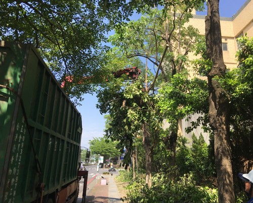 台南中西區鋸樹清運, 台南中西區環境整理, 台南中西區鋸樹, 台南中西區除草鋸樹, 
                    台南中西區代客除草, 台南中西區除(割)草作業, 台南中西區割草, 台南中西區除草, 台南中西區割草整地, 台南中西區除草整地, 台南中西區除草工, 台南中西區整地除草費用, 台南中西區空地割草, 台南中西區整地除草, 
                    台南中西區空地除草