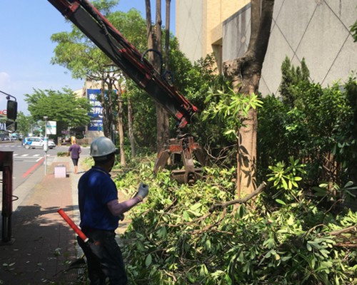 台南鋸樹清運, 台南環境整理, 台南鋸樹, 台南除草鋸樹, 
                    台南代客除草, 台南除(割)草作業, 台南割草, 台南除草, 台南割草整地, 台南除草整地, 台南除草工, 台南整地除草費用, 台南空地割草, 台南整地除草, 
                    台南空地除草