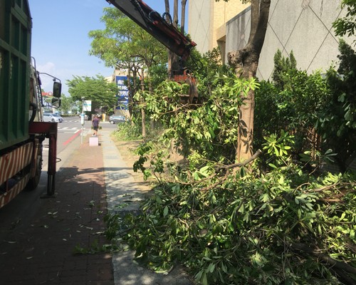 台南中西區鋸樹清運, 台南中西區環境整理, 台南中西區鋸樹, 台南中西區除草鋸樹, 
                    台南中西區代客除草, 台南中西區除(割)草作業, 台南中西區割草, 台南中西區除草, 台南中西區割草整地, 台南中西區除草整地, 台南中西區除草工, 台南中西區整地除草費用, 台南中西區空地割草, 台南中西區整地除草, 
                    台南中西區空地除草