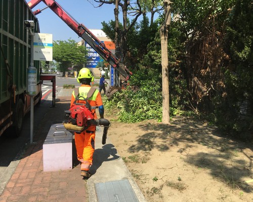 台南鋸樹清運, 台南環境整理, 台南鋸樹, 台南除草鋸樹, 
                    台南代客除草, 台南除(割)草作業, 台南割草, 台南除草, 台南割草整地, 台南除草整地, 台南除草工, 台南整地除草費用, 台南空地割草, 台南整地除草, 
                    台南空地除草