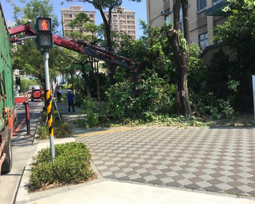 台南中西區鋸樹清運, 台南中西區環境整理, 台南中西區鋸樹, 台南中西區除草鋸樹, 
                    台南中西區代客除草, 台南中西區除(割)草作業, 台南中西區割草, 台南中西區除草, 台南中西區割草整地, 台南中西區除草整地, 台南中西區除草工, 台南中西區整地除草費用, 台南中西區空地割草, 台南中西區整地除草, 
                    台南中西區空地除草