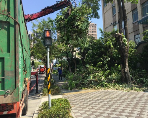 台南鋸樹清運, 台南環境整理, 台南鋸樹, 台南除草鋸樹, 
                    台南代客除草, 台南除(割)草作業, 台南割草, 台南除草, 台南割草整地, 台南除草整地, 台南除草工, 台南整地除草費用, 台南空地割草, 台南整地除草, 
                    台南空地除草