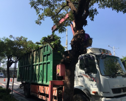 台南鋸樹清運, 台南環境整理, 台南鋸樹, 台南除草鋸樹, 
                    台南代客除草, 台南除(割)草作業, 台南割草, 台南除草, 台南割草整地, 台南除草整地, 台南除草工, 台南整地除草費用, 台南空地割草, 台南整地除草, 
                    台南空地除草