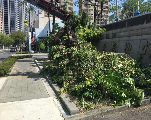 台南鋸樹清運, 台南環境整理, 台南鋸樹, 台南除草鋸樹, 
                    台南代客除草, 台南除(割)草作業, 台南割草, 台南除草, 台南割草整地, 台南除草整地, 台南除草工, 台南整地除草費用, 台南空地割草, 台南整地除草, 
                    台南空地除草