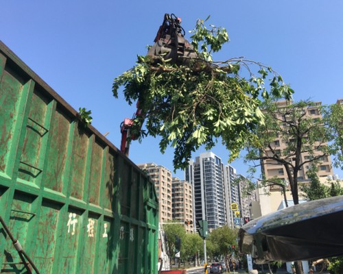 台南鋸樹清運, 台南環境整理, 台南鋸樹, 台南除草鋸樹, 
                    台南代客除草, 台南除(割)草作業, 台南割草, 台南除草, 台南割草整地, 台南除草整地, 台南除草工, 台南整地除草費用, 台南空地割草, 台南整地除草, 
                    台南空地除草