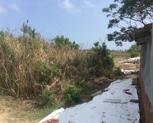 台南割草, 台南除草, 台南空地除草, 台南代客除草, 台南除(割)草作業