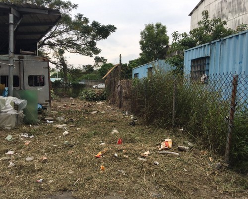 台南佳里割草, 台南佳里除草, 台南佳里割草整地, 台南佳里除草整地, 台南佳里代客除草, 台南佳里空地除草價格, 台南佳里除草工, 台南佳里整地除草費用, 
        台南佳里建地割草, 台南佳里整地除草, 台南佳里建地除草