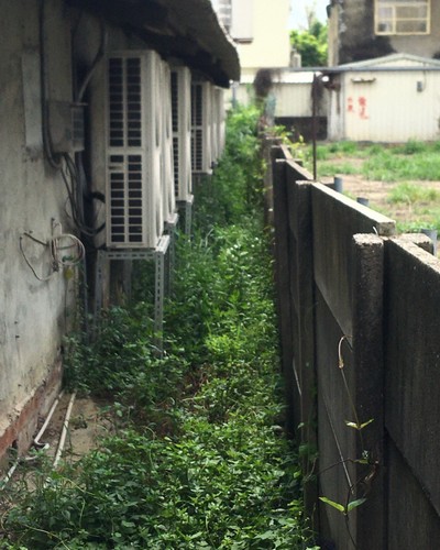 台南庭園維護, 台南園藝景觀維護, 台南割草, 台南除草, 台南空地除草, 台南代客除草, 台南除(割)草作業