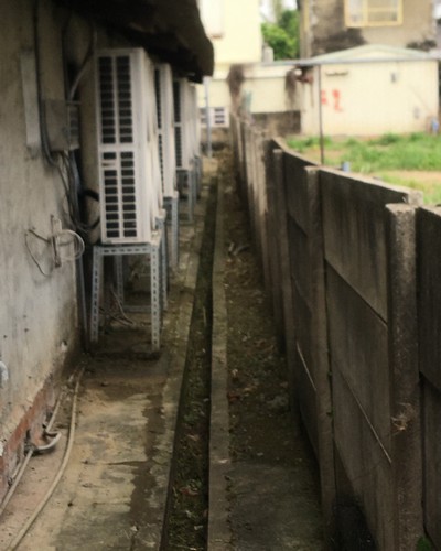 台南麻豆庭園維護, 台南麻豆園藝景觀維護, 台南麻豆割草, 台南麻豆除草, 台南麻豆空地除草, 台南麻豆代客除草, 台南麻豆除(割)草作業