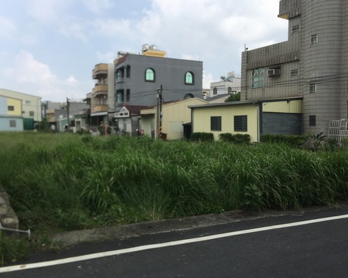 台南定期除草, 台南除草工程, 台南景觀園藝庭園維護, 台南樹木移除, 台南除草整地