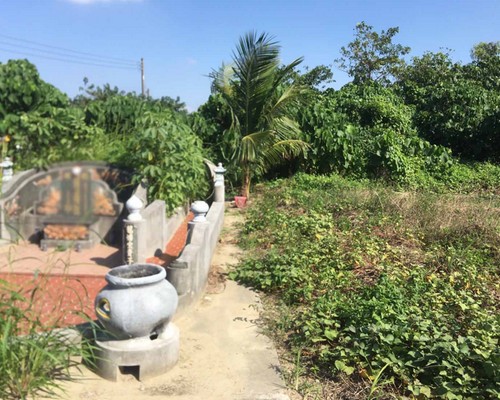 台南定期除草, 台南除草工程, 台南墓園除草, 台南樹木移除, 台南除草整地