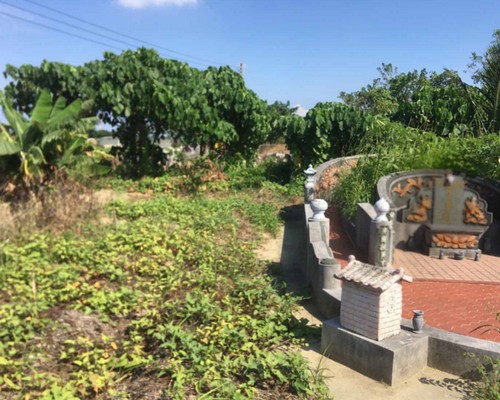 台南定期除草, 台南除草工程, 台南墓園除草, 台南樹木移除, 台南除草整地